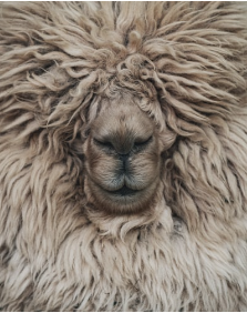 July Update