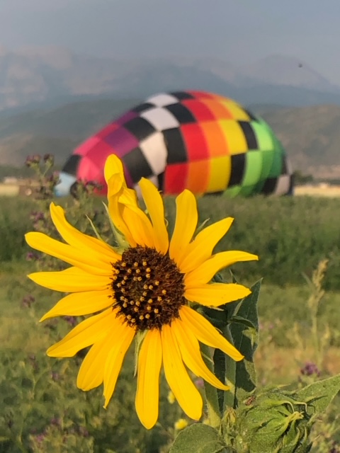 September Update